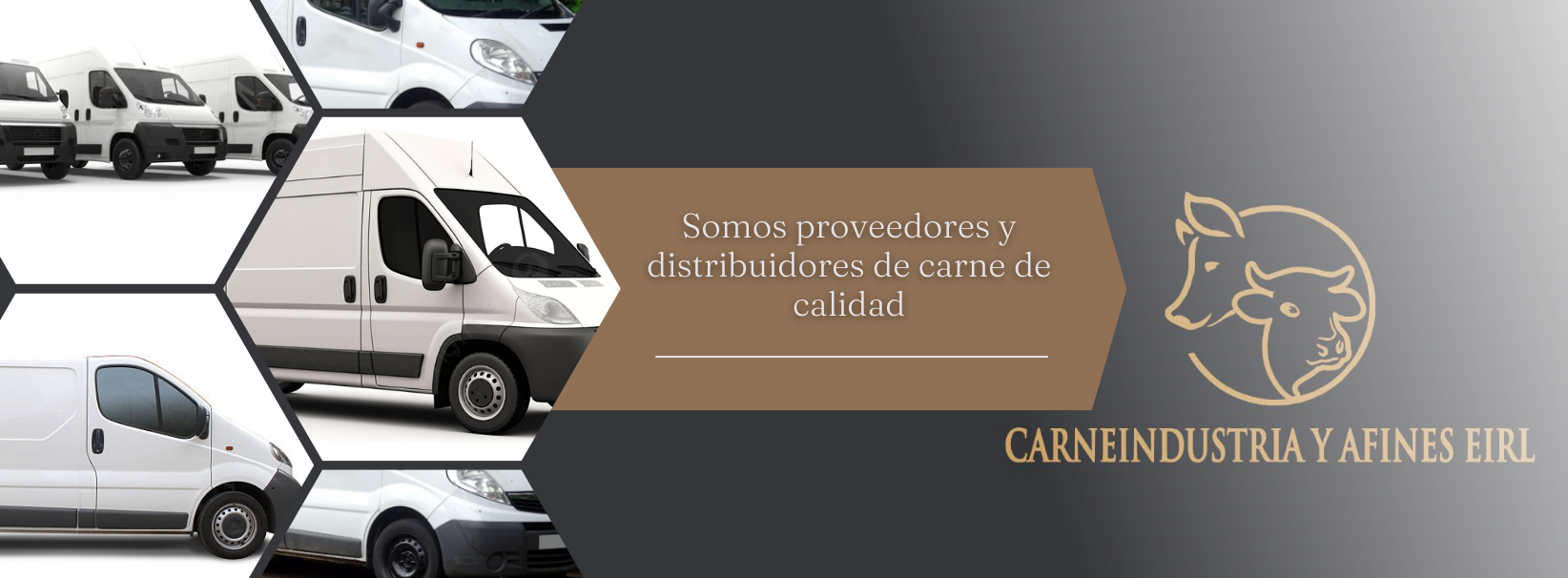 Banner Carne Parilla - Carne Industria