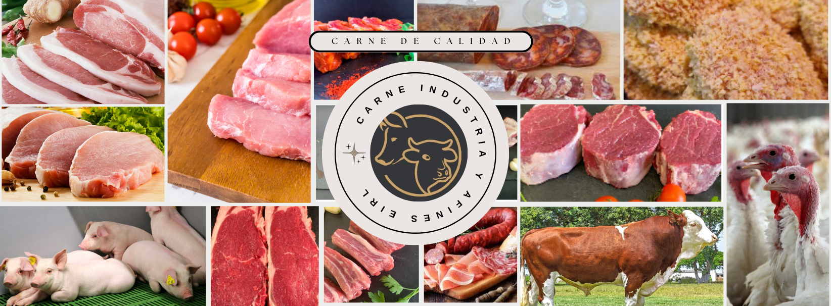 Banner Carne Parilla - Carne Industria